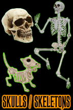 Skulls and Skeleton props